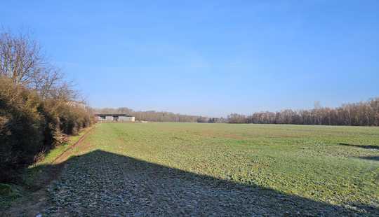 Bild von Das Haus für alle Lebensphasen im kommenden Baugebiet in Velpke.