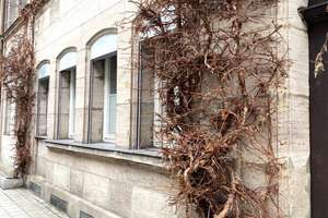 Wohnglück in der City ... 
Geschäfte und nette Restaurants, alles in Ihrer Nähe ...