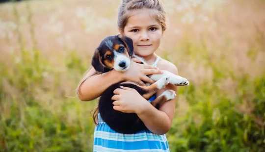 Bild von ***Charmante Doppelhaushälfte links-Ein Zuhause zum Wohlfühlen mit Klinkeraktion *+*