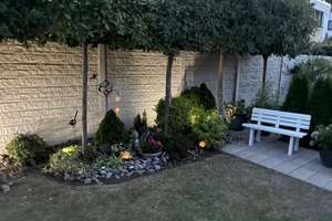 Hochwertiger Bungalow mit Wintergarten und überdachter Terrasse – 52134 Herzogenrath – Vorschaubild 7