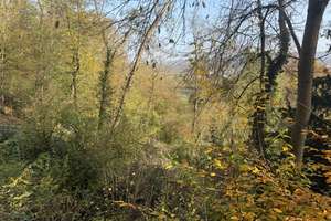 Charmantes Einfamilienhaus in idyllischer Hanglage von Baunatal – Die vollständige Adresse der Immobilie erhältst du vom Anbieter., 34255 Baunatal – Vorschaubild 8