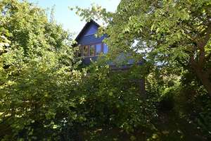 Vollunterkellertes Einfamilienhaus auf eingewachsenem Grundstück – Die vollständige Adresse der Immobilie erhältst du vom Anbieter., 24941 Friedenshügel, Flensburg – Vorschaubild 2