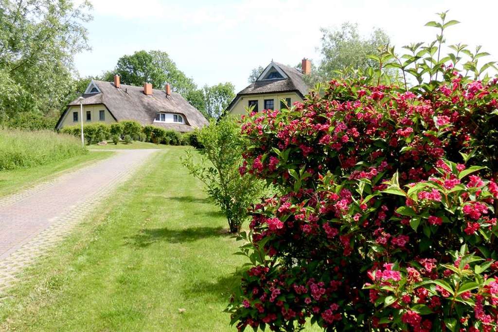 Immobilie in Poseritz - Reetdach Reihenhaus 3 SZ, 2 Bäder, möbliert, 3 Ebenen idyllische Lage Rügen, Kamin, Wallbox - Bild 2