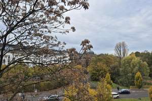 Property thumbnail 10