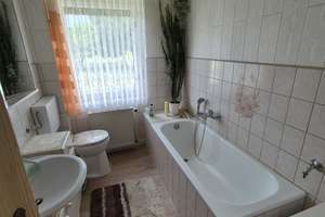 Zwei Häuser und ein Traumgrundstück mit Teich, Pool und viel Platz für Freizeit und Hobby! – Pretzscher Allee 8, 6905 Bad Schmiedeberg – Vorschaubild 74