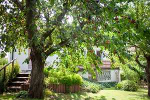 Einfamilienhaus mit Einliegerwohnung, Dachgeschoss und gepflegtem Garten in Linsengericht-Geislitz. – Main-Kinzig-Kreis – Vorschaubild 10