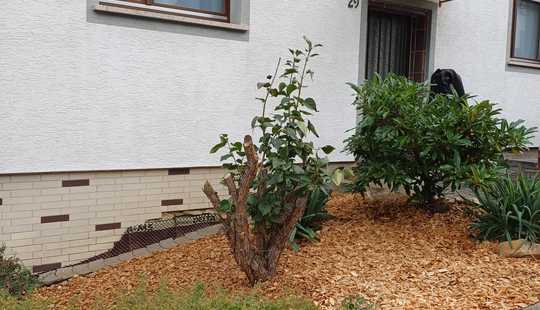 Bild von * Ihr Traum, Bauernhaus mit Anbau, Scheune, Innenhof & Garten * in Niedernhausen!