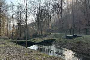 Einladendes Einfamilienhaus mit viel Charme, in naturnaher Ortsrandlage von Nassau an der Lahn – Rhein-Lahn-Kreis – Vorschaubild 35
