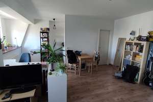 Lichtdurchflutete 1-Raum-Wohnung in Dresden-Friedrichstadt – Schweriner Str. 63, 1067 Friedrichstadt, Dresden – Vorschaubild 2