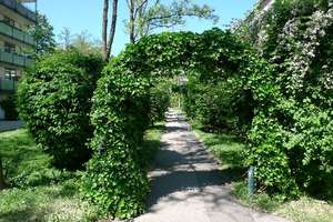 Property thumbnail 13