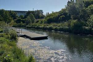 Hafen 1 - Attraktives Wohnen am Wasser | 2 Terrassen | Bad mit Dusche | Offene Küche | Parkett