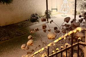 Property thumbnail 14