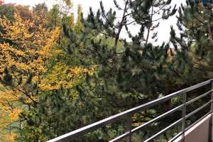 **Helle Wohnung mit Balkon** – Im Eichwald 2a, 69126 Boxberg, Heidelberg – Vorschaubild 8