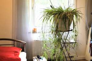 Haus für Monteure in Mosbach – Die vollständige Adresse der Immobilie erhältst du vom Anbieter., 74821 Mosbach – Vorschaubild 10