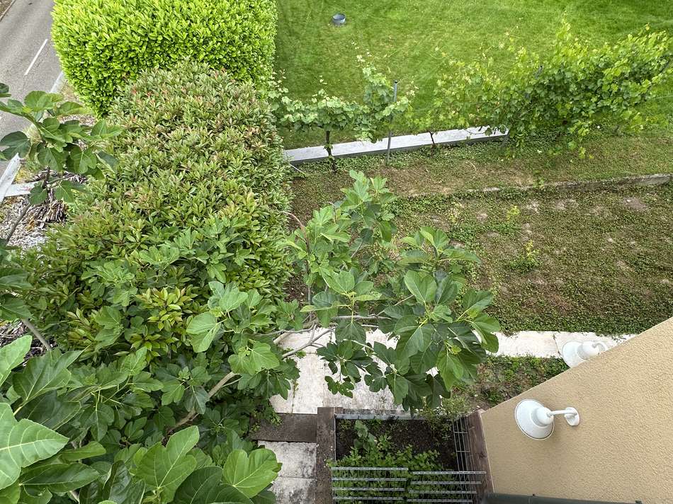 Ausblick