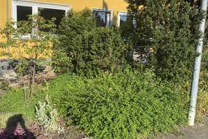 Zuhause mit 2 Zimmern in Mannheim – Die vollständige Adresse der Immobilie erhältst du vom Anbieter., 68229 Friedrichsfeld, Mannheim – Vorschaubild 12