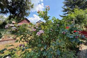 Diese Wohnidylle wird Ihr neues Zuhause. 3 Zimmer auf 97 m². Herrlicher Garten, Garage plus Carport. – Die vollständige Adresse der Immobilie erhältst du vom Anbieter., 78176 Blumberg – Vorschaubild 17
