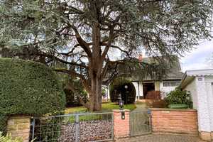 Großer Garten mit viel Platz für die Familie in begehrter Lage – Weinheimer Str. 109, 69469 Rhein-Neckar-Kreis – Vorschaubild 4