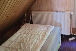 Ferienhaus in idyllischer Waldlage, 5min. zum Ostseestrand Zingst – Wiesenstraße 84, 18374 Zingst – Vorschaubild 15