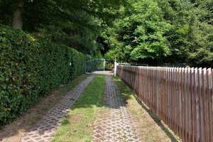 Idyllisches Einfamilienhaus für Naturliebhaber am Waldrand – Anton-Hermann-Str. 23, 9123 Einsiedel, Chemnitz – Vorschaubild 24
