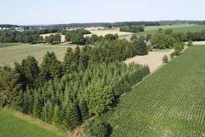 Ein Paradies für die Seele: Wo Waldrauschen, Tierliebe und Generationen ihr gemeinsames Glück finden – Die vollständige Adresse der Immobilie erhältst du vom Anbieter., 47551 Bedburg-Hau – Vorschaubild 20
