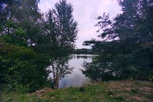 Exklusives Wohnen mit Seeblick 3-Zimmer-Wohnung am ALBERTUSSEE – Am Albertussee 3-18, 40549 Heerdt, Düsseldorf – Vorschaubild 27