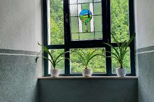 TRENDIGE SONNIGE MAISONETTE IM DACHGESCHOSS ... – Franz-Mehring-Straße 12, 9112 Kaßberg, Chemnitz – Vorschaubild 13