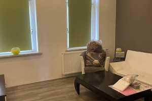 07973! Greiz - Haus mit großer Wohnung  u. kleinem Grundstück – Greiz (Kreis) – Vorschaubild 15
