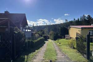 tolles Einfamilienhaus mit großem geschlossenem Carport, Gästehaus und Sauna – Högstraße 77, 99897 Tambach-Dietharz/Thüringer Wald – Vorschaubild 3
