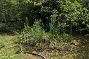 2,5 Zimmerwohnung mit Garten in München-Laim/Pasing – Die vollständige Adresse der Immobilie erhältst du vom Anbieter., 80689 Sankt Ulrich, München – Vorschaubild 12