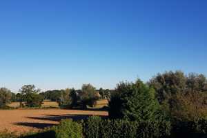 sanierter Resthof mitten im Landschaftsschutzgebiet – Viersen (Kreis) – Vorschaubild 17