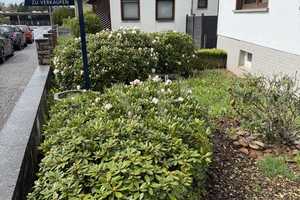 Einfach einziehen und wohlfühlen!!! EFH in zentraler Lage mit Garten & Garage in Baumholder!!! – Birkenfeld (Kreis) – Vorschaubild 31