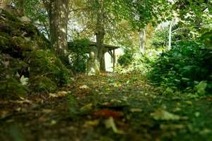 Historisches Anwesen mit Parkgarten: Repräsentatives Raumwunder in Oettingen – 86732 Oettingen in Bayern – Vorschaubild 27