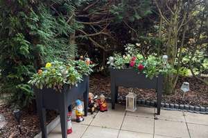 Barrierearme 2-Zimmer-Wohnung mit Terrasse in ruhiger Lage – Die vollständige Adresse der Immobilie erhältst du vom Anbieter., 39118 Lemsdorf, Magdeburg – Vorschaubild 8