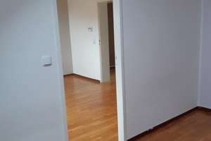 Gepflegter Schatz in gute Hände abzugeben – Eupener Straße 43, 40549 Heerdt, Düsseldorf – Vorschaubild 14