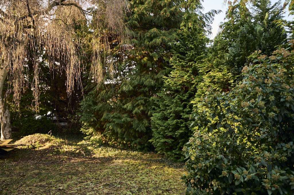 Immobilie in Schwanewede - SCHWANEWEDE / Raumwunder // voll ausgebauter Bungalow mit Wohnkeller auf 1000 qm  // ruhige Lage - Bild 2