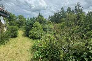 EFH! 8.000 m² Grund! HOCH ÜBERM TALE! Traum von Altersruhesitz! Was für ein herrliches Anwesen! – Kusel (Kreis) – Vorschaubild 3