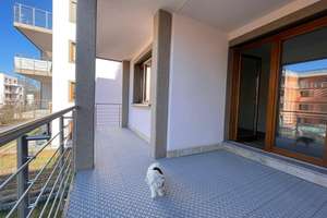 Grünes Wohnglück- 3 Zimmer-Oase mit großem Balkon – Rankestraße 32a-d, 1139 Kaditz, Dresden – Vorschaubild 18