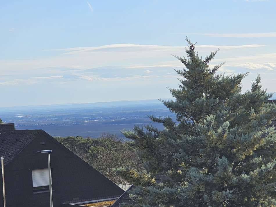 Dachterrassenaussicht (3)
