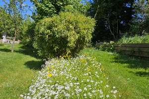 Wohnen im Grünen aber nur 7 min. bis Hardthöhe auf 2 Ebenen und 120 m² mit 900 qm Garten in Alfter – Die vollständige Adresse der Immobilie erhältst du vom Anbieter., 53347 Alfter – Vorschaubild 17