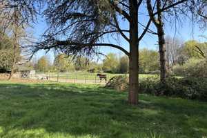 Wohnen im Grünen: Ihr Traum am Rande des Egelsbergs! – Krefeld – Vorschaubild 9
