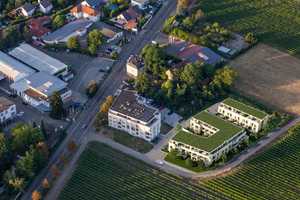 Terra Vigne - wohnen zwischen Stadt und Weinberg - Reihenendhaus – Landau in der Pfalz – Vorschaubild 3