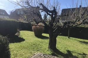 !! Holzwickede !! Mehrfamilien oder Mehrgenerationen Haus in guter Lage – Dürerstr. 16, 59439 Holzwickede – Vorschaubild 10