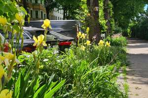 Begehrte Lage bei Mietern + Plagwitz/Schleußig + Dachgeschosswohnung mit Tiefgarage – 4229 Schleußig, Leipzig – Vorschaubild 12