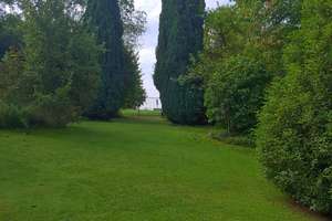 Haus, Hof und riesen Garten, viel Raum für die Familie – Die vollständige Adresse der Immobilie erhältst du vom Anbieter., 63694 Limeshain – Vorschaubild 37