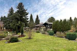 Großzügiges Zuhause mit Gartenidylle – Oberspreewald-Lausitz (Kreis) – Vorschaubild 7