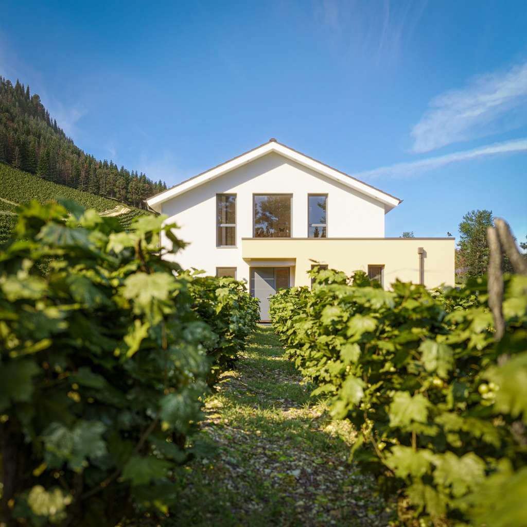 Immobilie in Falkenberg/Elster - Traumhaus auf freiem Baugrundstück - Bild 4