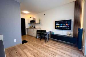 Wohnen mit Charakter Schöne 1 Zi-Wohnung in Ingolstadt (Friedrichshofen)