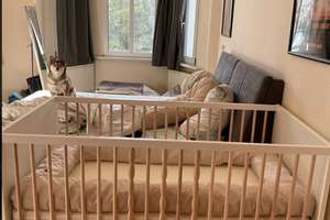 3-Zimmer-Wohnung in Magdeburg Stadtfeld Ost – Winckelmannstraße 3, 39108 Stadtfeld Ost, Magdeburg – Vorschaubild 3