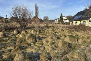 Historisches Fachwerkhaus in Meschede-Calle – Hochsauerlandkreis – Vorschaubild 2
